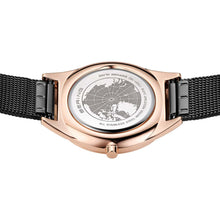 Laden Sie das Bild in den Galerie-Viewer, Bering Damen Uhr Armbanduhr Slim Classic - 17031-162 Edelstahl