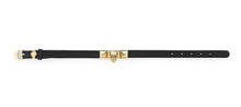 Laden Sie das Bild in den Galerie-Viewer, Philipp Plein Unisex Armband Leder Edelstahl IP Gold PLEIN ENIGMA PJOEA03BU