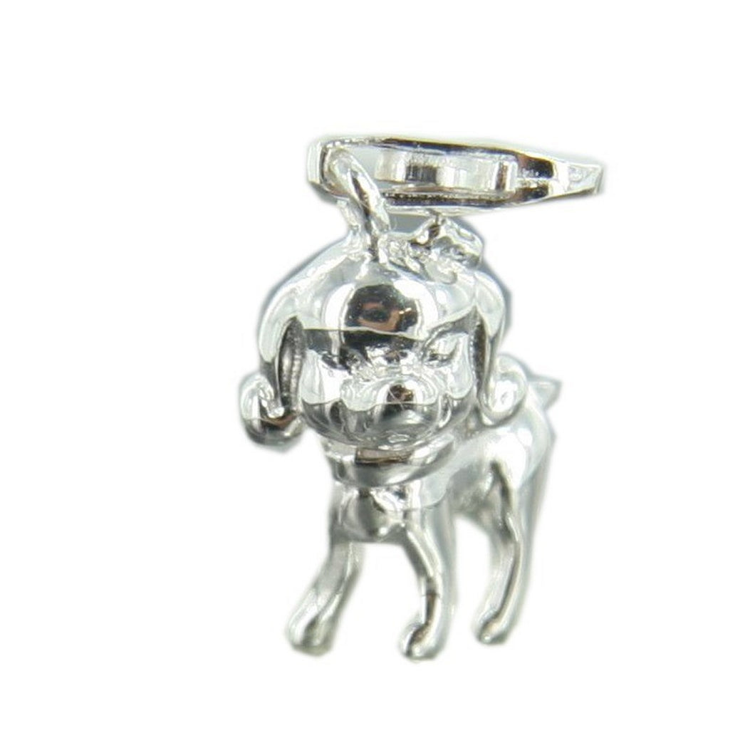 Heartbreaker by Drachenfels Damen Silber Charms Anhänger HB 117
