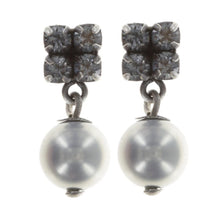 Laden Sie das Bild in den Galerie-Viewer, Konplott Ohrringe Ohrstecker Chameleon blau / braun Grau antik silber