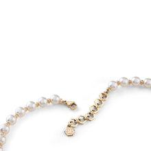 Laden Sie das Bild in den Galerie-Viewer, Philipp Plein Damen Kette Halskette Edelstahl IP Gold RHAPSODY PJ8EA06NU