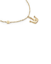 Laden Sie das Bild in den Galerie-Viewer, Philipp Plein Damen Kette Halskette Edelstahl IP Gold PLEIN VALENTINE PJHGA10NU