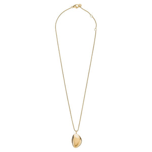Skagen Damen Kette Halskette Edelstahl Kariana Gold Medaillon SKJ1752710