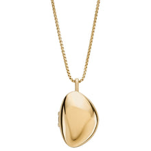Laden Sie das Bild in den Galerie-Viewer, Skagen Damen Kette Halskette Edelstahl Kariana Gold Medaillon SKJ1752710