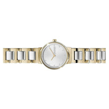 Laden Sie das Bild in den Galerie-Viewer, Skagen Damen Uhr Armbanduhr Riis Edelstahl SKW2790