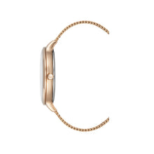 Laden Sie das Bild in den Galerie-Viewer, Kenneth Cole New York Damen Uhr Armbanduhr Edelstahl KC15056013