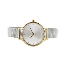 Laden Sie das Bild in den Galerie-Viewer, Skagen Damen Uhr Armbanduhr Anita Edelstahl SKW2340