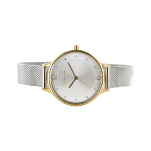 Skagen Damen Uhr Armbanduhr Anita Edelstahl SKW2340