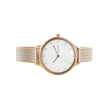 Laden Sie das Bild in den Galerie-Viewer, Skagen Damen Uhr Armbanduhr Anita Edelstahl SKW2749